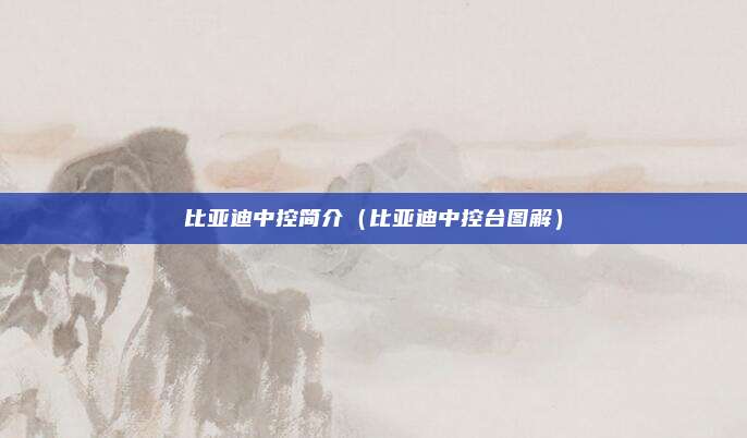比亚迪中控简介（比亚迪中控台图解）