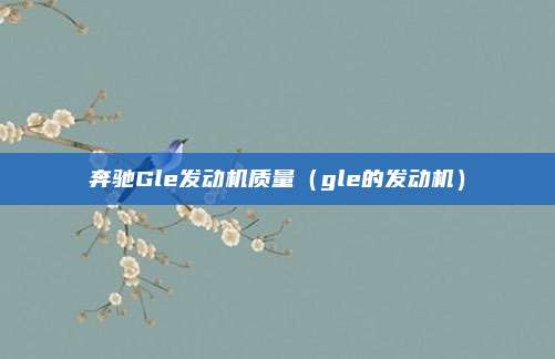 奔驰Gle发动机质量(gle的发动机)