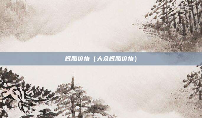 辉腾价格(大众辉腾价格)