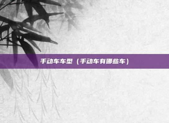 手动车车型(手动车有哪些车)