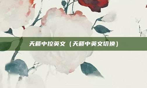 天籁中控英文（天籁中英文切换）