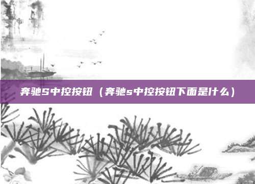 奔驰S中控按钮（奔驰s中控按钮下面是什么）