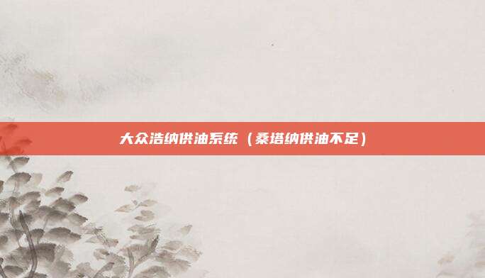 大众浩纳供油系统（桑塔纳供油不足）