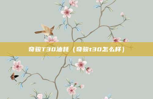 奇骏T30油耗（奇骏t30怎么样）