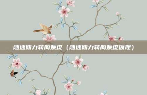 随速助力转向系统（随速助力转向系统原理）