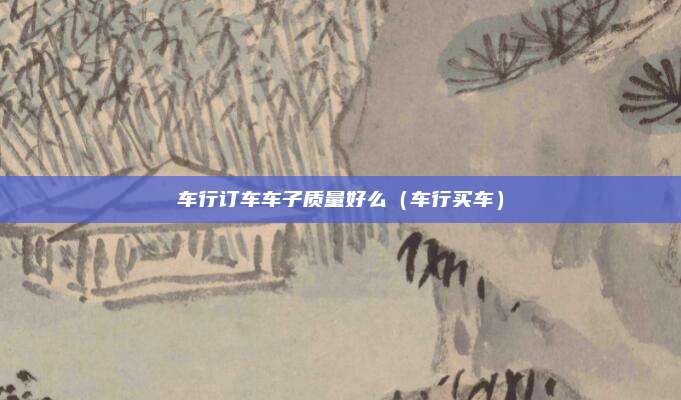 车行订车车子质量好么（车行买车）