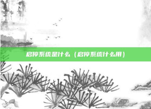 启停系统是什么(启停系统什么用)