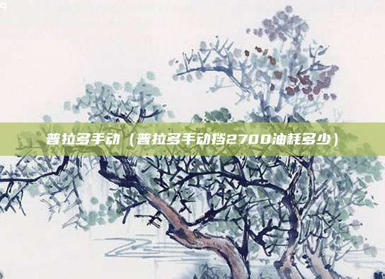 普拉多手动(普拉多手动挡2700油耗多少)