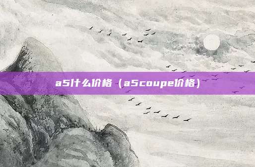 a5什么价格(a5coupe价格)