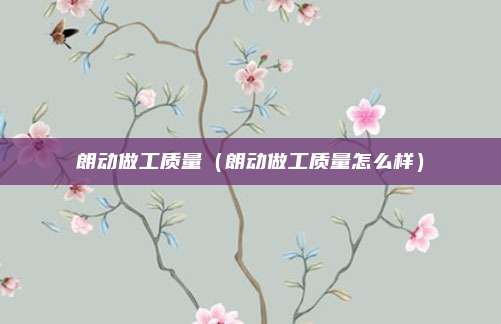 朗动做工质量（朗动做工质量怎么样）