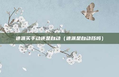 速派买手动还是自动（速派是自动挡吗）