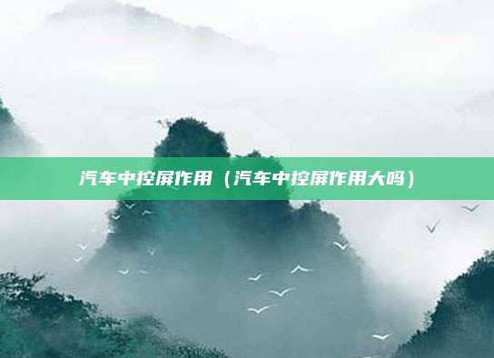 汽车中控屏作用（汽车中控屏作用大吗）