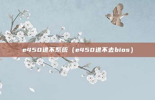 e450进不系统（e450进不去bios）