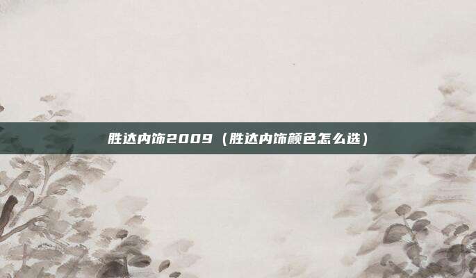 胜达内饰2009（胜达内饰颜色怎么选）