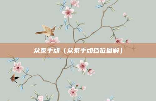 众泰手动（众泰手动挡位图解）