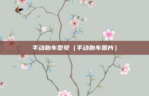 手动跑车型号（手动跑车图片）