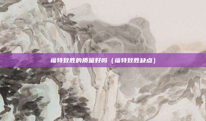 福特致胜的质量好吗（福特致胜缺点）