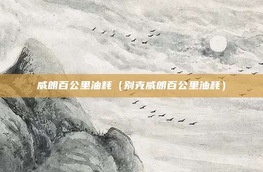 威朗百公里油耗(别克威朗百公里油耗)