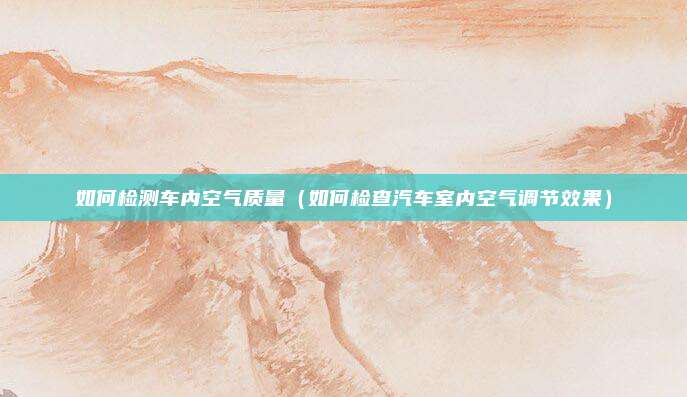 如何检测车内空气质量(如何检查汽车室内空气调节效果)