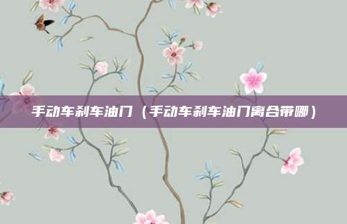 手动车刹车油门（手动车刹车油门离合带哪）