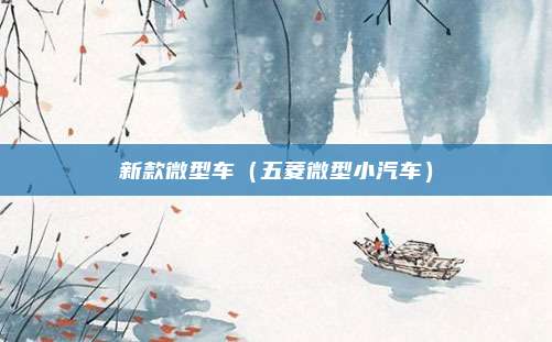 新款微型车（五菱微型小汽车）