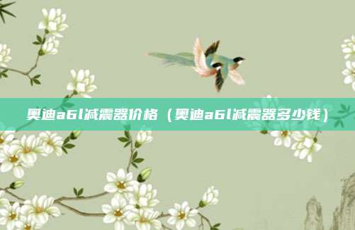 奥迪a6l减震器价格（奥迪a6l减震器多少钱）