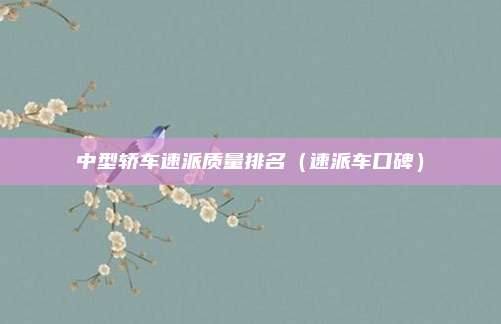 中型轿车速派质量排名（速派车口碑）