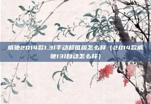 威驰2014款1.3l手动超值版怎么样（2014款威驰13l自动怎么样）