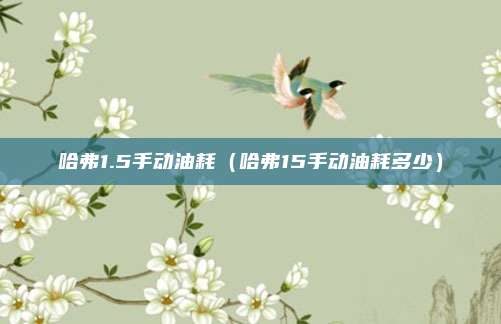 哈弗1.5手动油耗（哈弗15手动油耗多少）