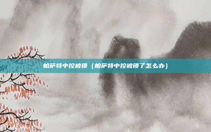 帕萨特中控被锁（帕萨特中控被锁了怎么办）