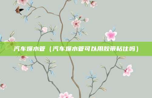 汽车爆水管（汽车爆水管可以用胶带粘住吗）