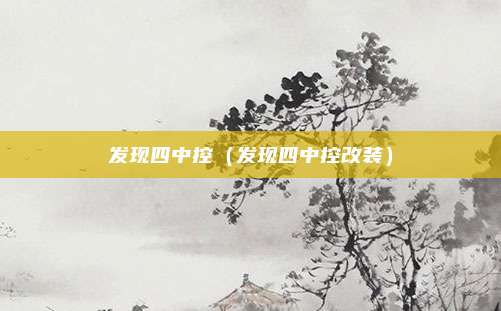发现四中控（发现四中控改装）