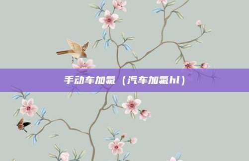 手动车加氟（汽车加氟hl）