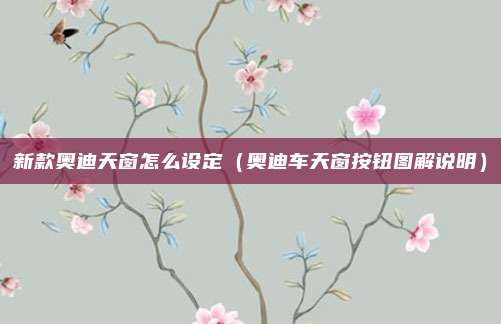 新款奥迪天窗怎么设定（奥迪车天窗按钮图解说明）