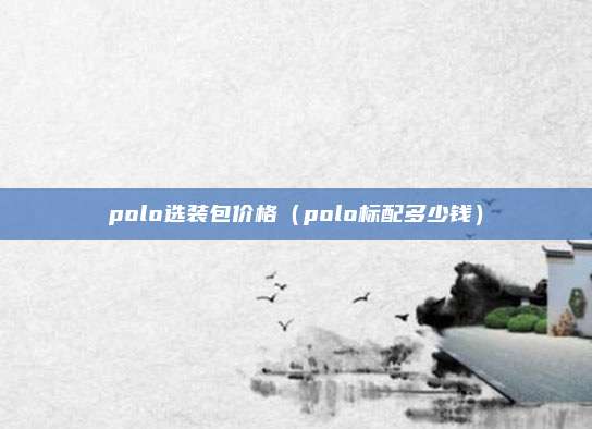 polo选装包价格(polo标配多少钱)