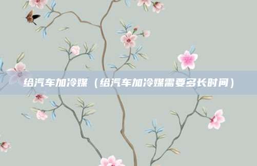 给汽车加冷媒（给汽车加冷媒需要多长时间）