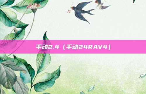 手动2.4（手动24RAV4）
