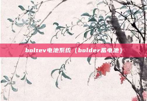 boltev电池系统（bolder蓄电池）