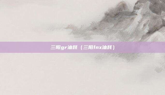 三阳gr油耗（三阳fnx油耗）