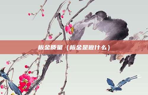 板金质量（板金是做什么）
