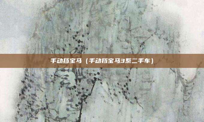 手动挡宝马（手动挡宝马3系二手车）