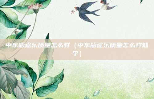 中东版途乐质量怎么样(中东版途乐质量怎么样知乎)