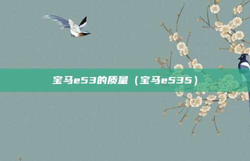 宝马e53的质量（宝马e535）