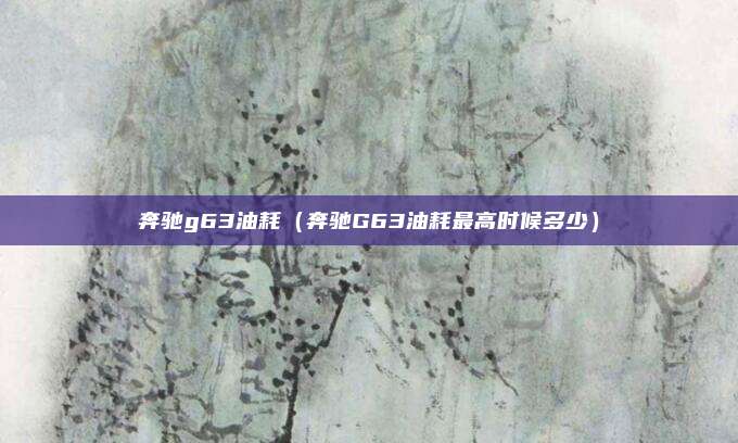 奔驰g63油耗(奔驰G63油耗最高时候多少)