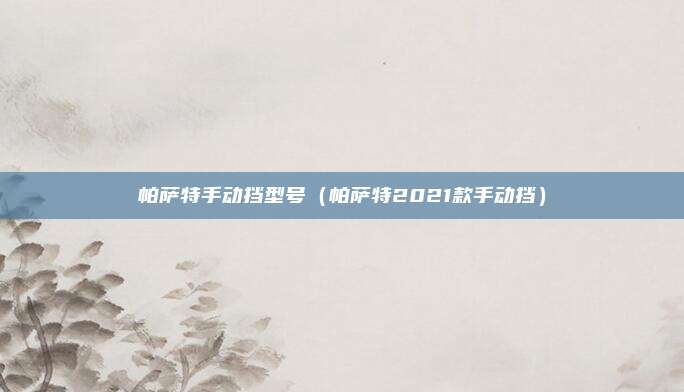 帕萨特手动挡型号(帕萨特2021款手动挡)