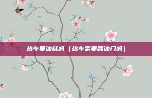 热车要油耗吗(热车需要踩油门吗)