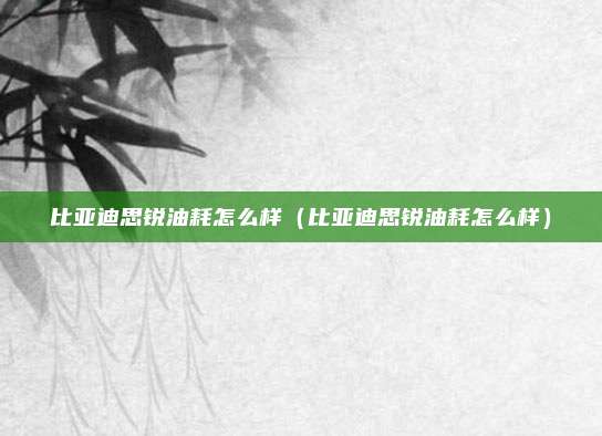 比亚迪思锐油耗怎么样（比亚迪思锐油耗怎么样）