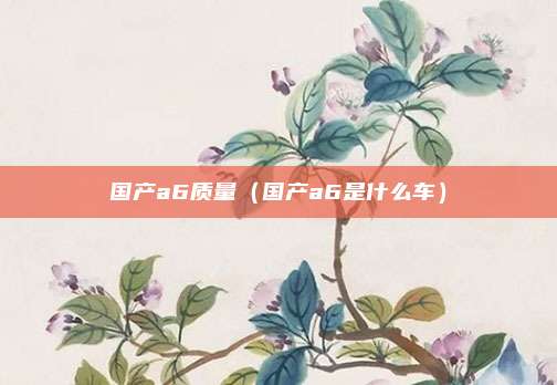 国产a6质量（国产a6是什么车）