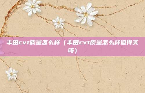 丰田cvt质量怎么样（丰田cvt质量怎么样值得买吗）