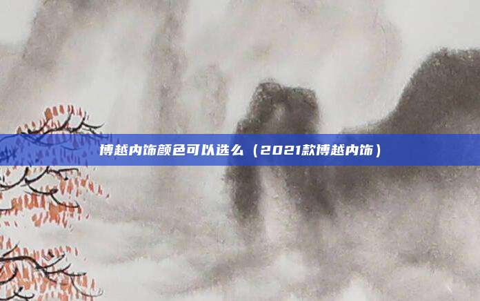 博越内饰颜色可以选么（2021款博越内饰）
